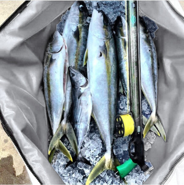EVA Thick Multifunctional Waterproof Fish Bag - Image 4